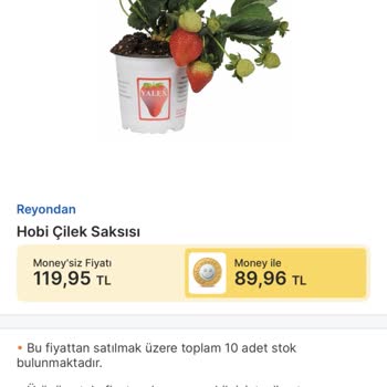 Migros Sanal Market'ten Çürük Ve Kalitesiz Ürün Teslimatıyla Büyük Hayal Kırıklığı