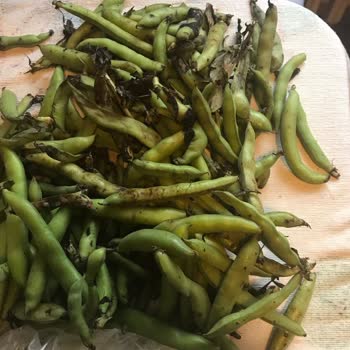 Migros Sanal Market'ten Çürük Ve Kalitesiz Ürün Teslimatıyla Büyük Hayal Kırıklığı