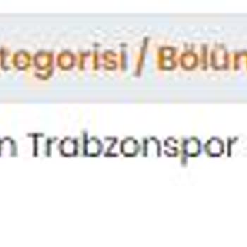 Biletwise Üzerinden Aldığım Bilette Yüksek Ücret Ve Ek Masraf Mağduriyeti