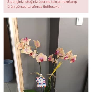 Siparişlerin Yanlış Ve Kalitesiz Hazırlanması, Müşteri Hizmetlerinde İlgisizlik