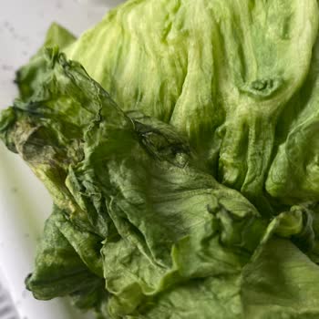 Siparişte Eksik Ve Kusurlu Ürün, Yetersiz Müşteri Hizmeti