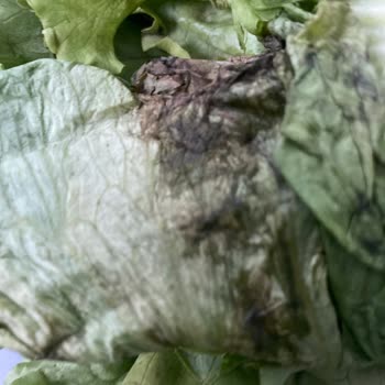 Siparişte Eksik Ve Kusurlu Ürün, Yetersiz Müşteri Hizmeti