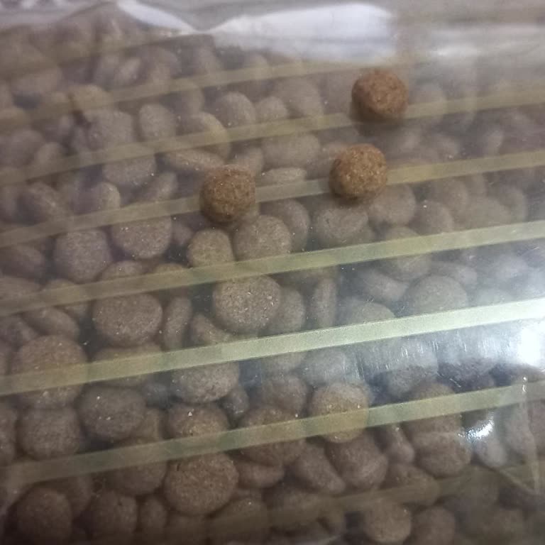 Petsende Firması Yanlış Mama Gönderimi Yaparak Mağdur Etti