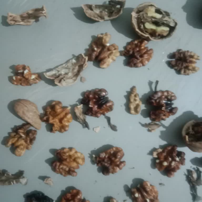 Tarım Kredi Marketinden Aldığım Cevizlerin Çoğu Çürük Çıktı