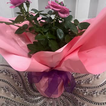 Sipariş Edilen Ürünle Gelen Ürün Tamamen Farklı Ve Eksik