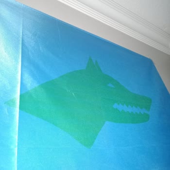 Satın Aldığım Bayrağın Renkleri Soluk Geldi