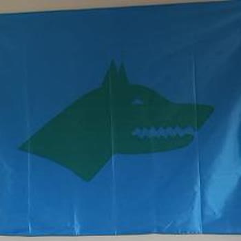 Satın Aldığım Bayrağın Renkleri Soluk Geldi