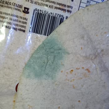 Şok Mağazasından Aldığım Lavaş Küflü Çıktı Ve Denetim Eksikliği Yaşadım