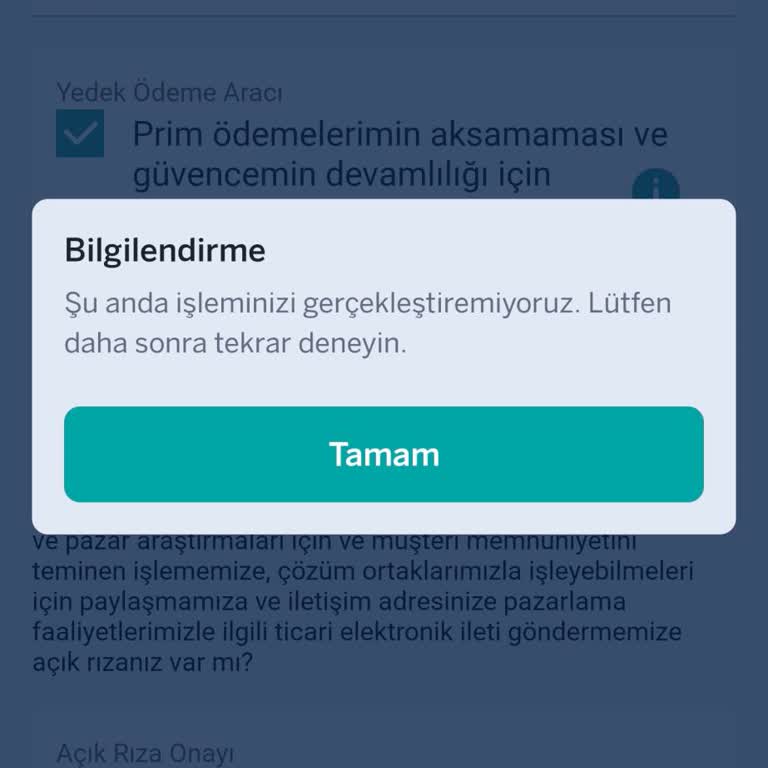 Onaylanan Kredimi Hesabıma Aktaramıyorum, Sürekli Sistem Hatası Alıyorum