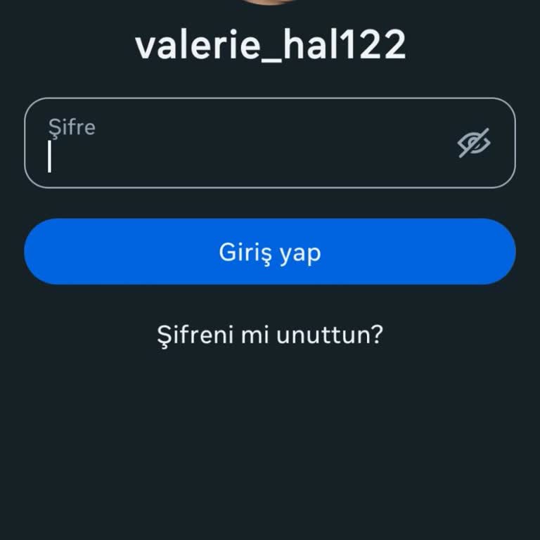 Instagram Hesabım Hacker Tarafından Ele Geçirildi, Yardım Edin!