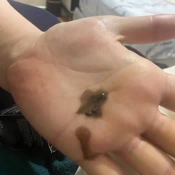 I Received Expired and Discolored NYX Foundation That’s Unusable on Skin