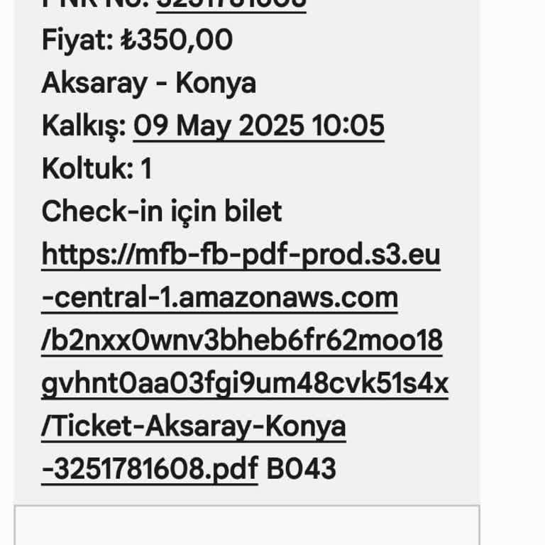 Kamil Koç, 14 Yaşındaki Yolcuyu Otobüsten İndirip Mağdur Etti