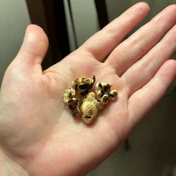 Her Pakette Yanık Patlamış Mısır Hayal Kırıklığı!