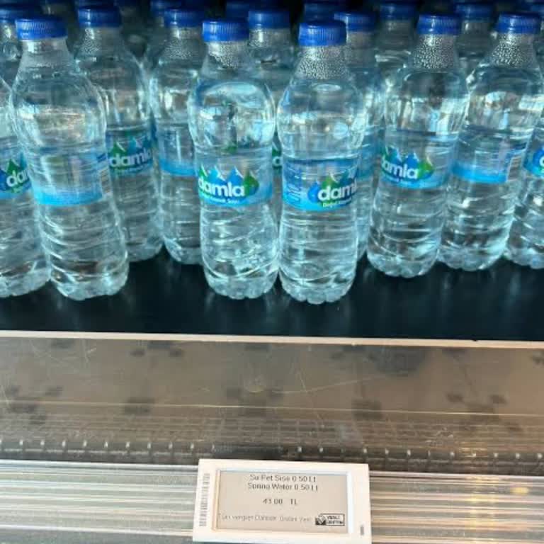 Mescitte Kurallara Uymayan Davranışlar Ve Dinlenme Alanı Sorunu