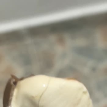 Dondurmadan Çıkan Kıl Nedeniyle Hayal Kırıklığı
