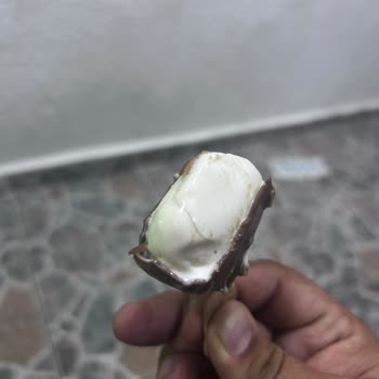 Dondurmadan Çıkan Kıl Nedeniyle Hayal Kırıklığı