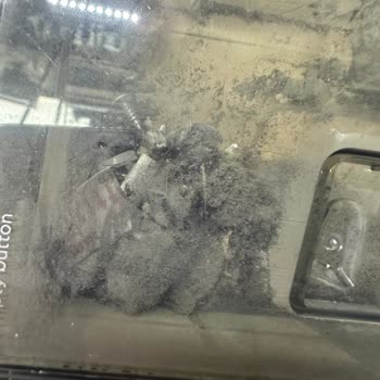 Servis Süpürgeme Hijyenik Olmayan Şartlarda Davrandı