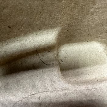 Servis Süpürgeme Hijyenik Olmayan Şartlarda Davrandı