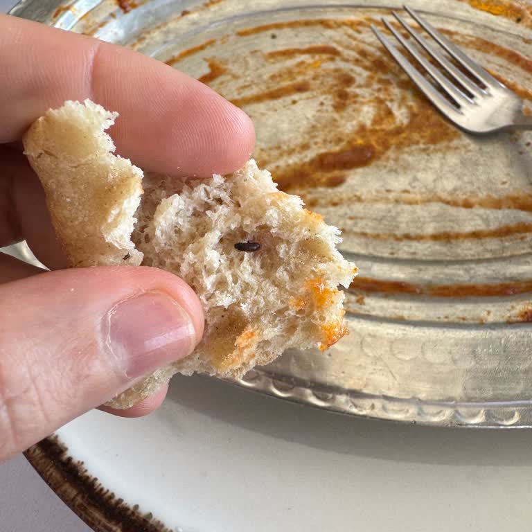 Yemekte Böcek Çıktı, Restoranda Yetersiz İlgi Ve Hijyen Sorunu