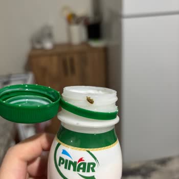 Kefir Ürününde Son Kullanma Tarihi Öncesi Küf Sorunu