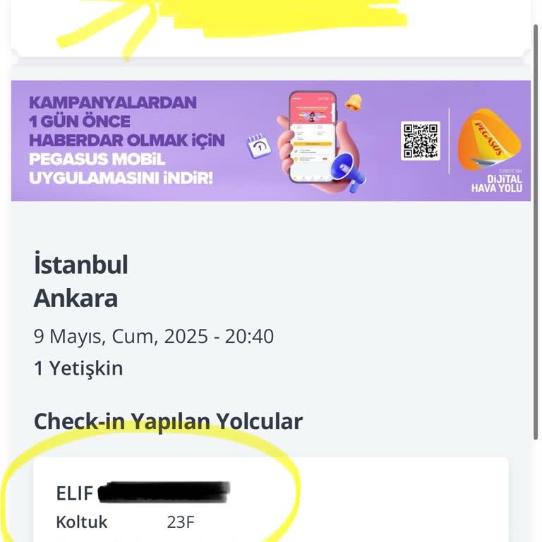 Check-in Sonrası Koltuğum Görünmedi Uçağa Alınmadım Bilet Fiyatı Değişti