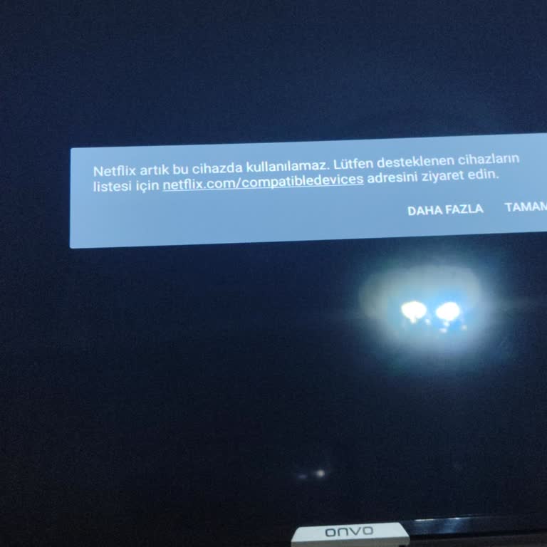 Onvo Televizyonumda Netflix'e Giriş Yapılamıyor, Çözüm Bekliyorum