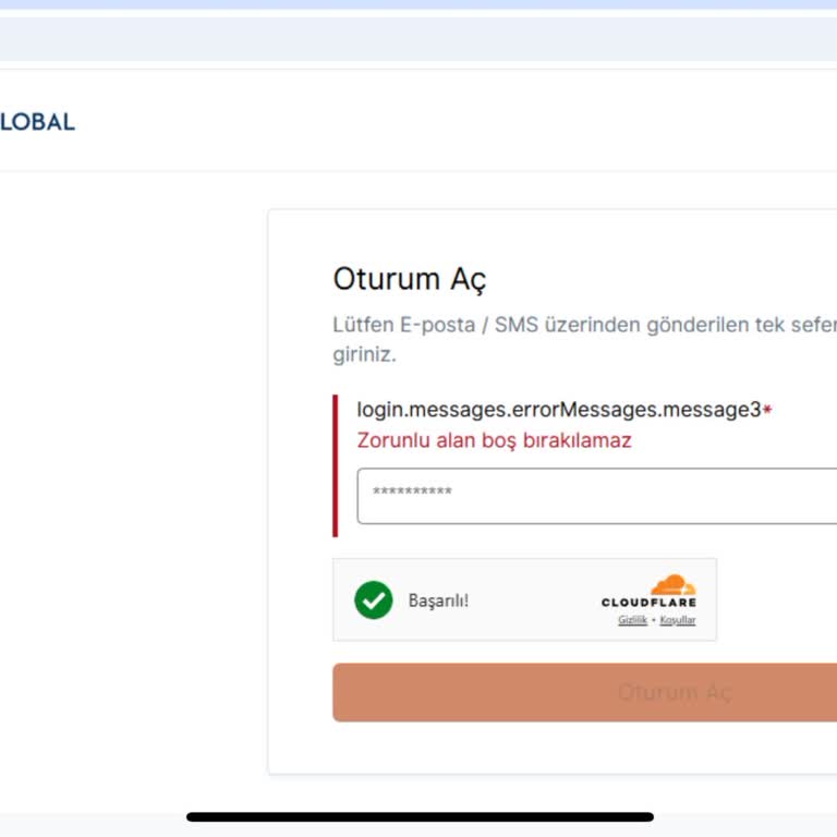 VFS Global Fransa: Randevu OTP Sorununa Çözüm Bulamıyorum