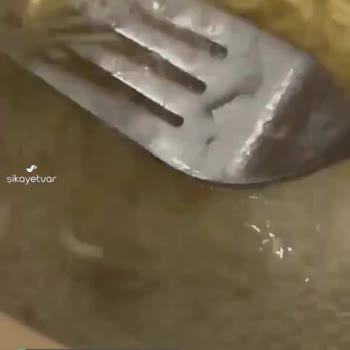 indomie Nuddle Böcek Çıktı