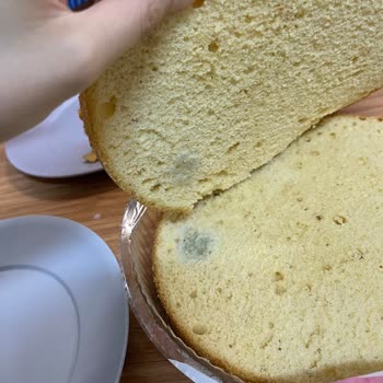 Migros'tan Aldığım Pasta Tabanı Küflü Çıktı