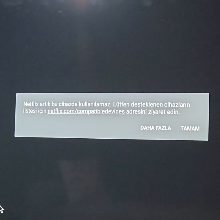 Onvo TV'de Netflix Hayal Kırıklığı: Kutuda Var, Kullanımda Yok!