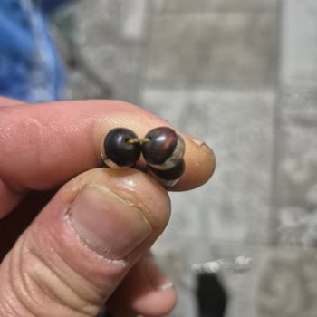 Kusurlu Ürün İadesi Kabul Edilmiyor Ne Yapmalıyım