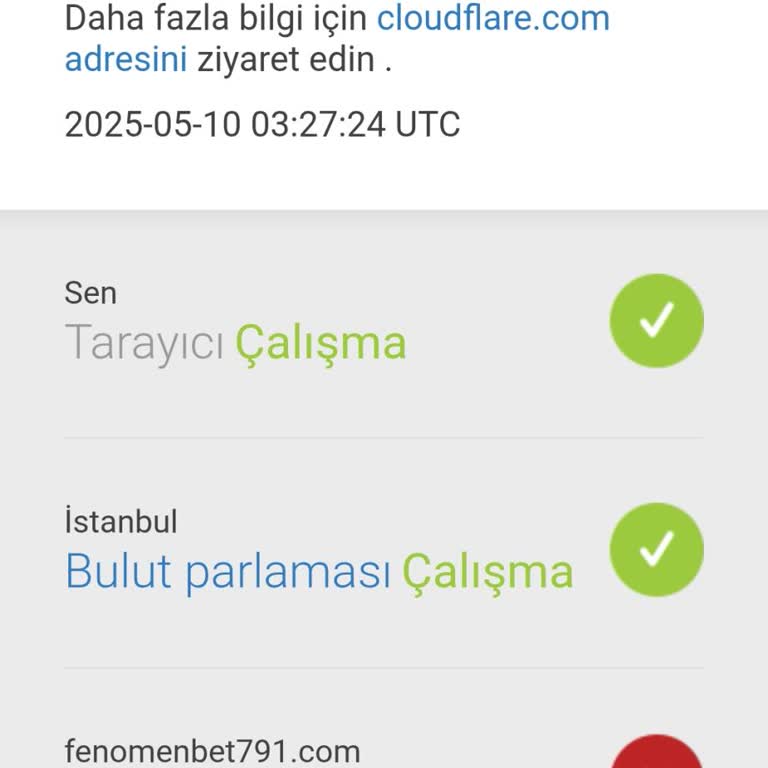 Siteye Erişim Sorunu Nedeniyle Hesabımdaki Paraya Ulaşamıyorum