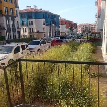 Çimler Biçilmediği İçin Blok Önünde Tehlike Artıyor