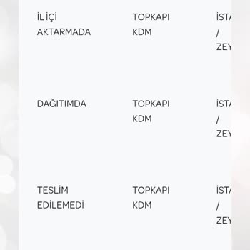 Yanlış Ürün Sonrası Kargom Şehir Şehir Dolaşıyor PTT Kargo İletişimsizliği Mağdur Ediyor