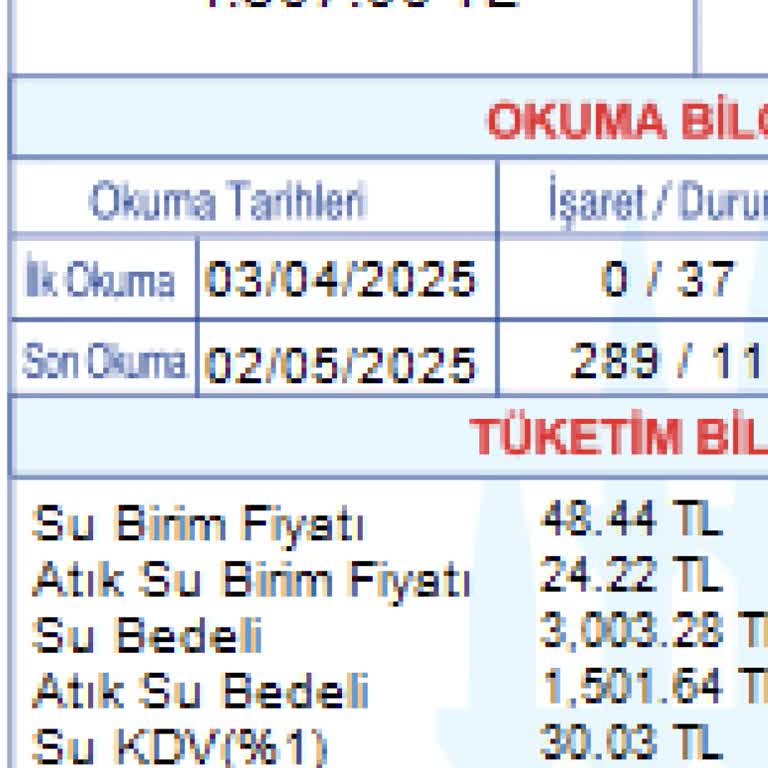 İSKİ'nin Su Sayacı Kontrolü İçin Randevuya Gelmemesi Ve Yüksek Fatura Sorunu