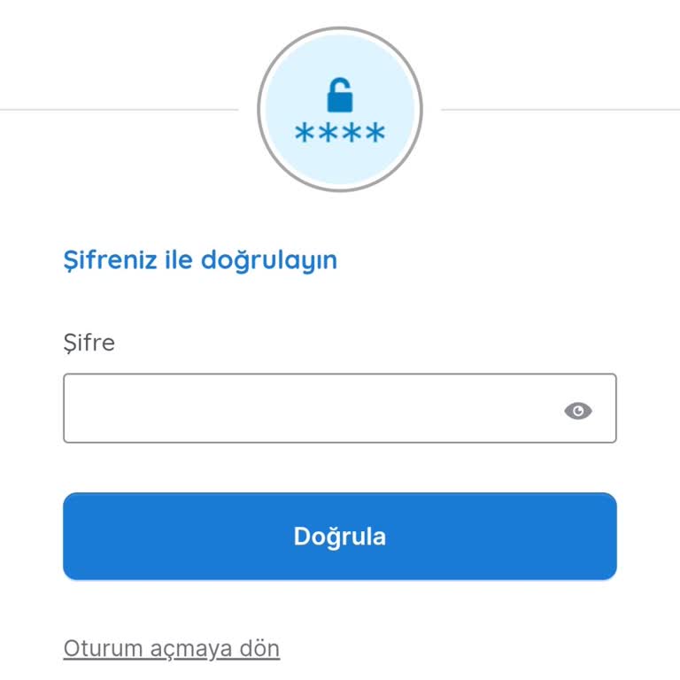 Şifre Sıfırlama Seçeneği Olmadığı İçin Hesabıma Erişemiyorum