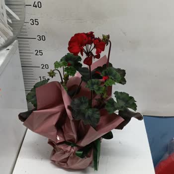 Yanlış Ürün Ve İlgisiz Müşteri Hizmeti