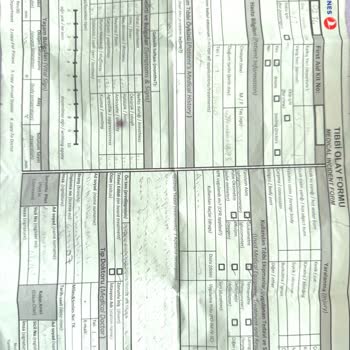 Uçak Sonrası Pasaport Girişim E-devlette Görünmüyor Çözüm Bulamıyorum
