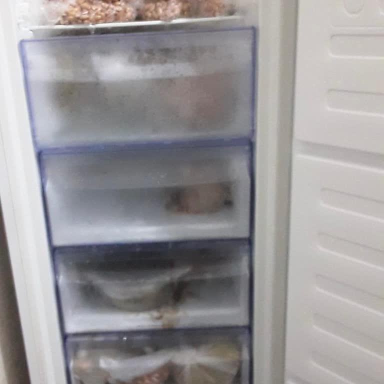 Samsung Derin Dondurucuda Sürekli Buzlanma Ve Çözüm Eksikliği