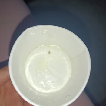 Dondurmadan Sinek Çıktı, Müşteri Hizmetleri İlgisiz Kaldı
