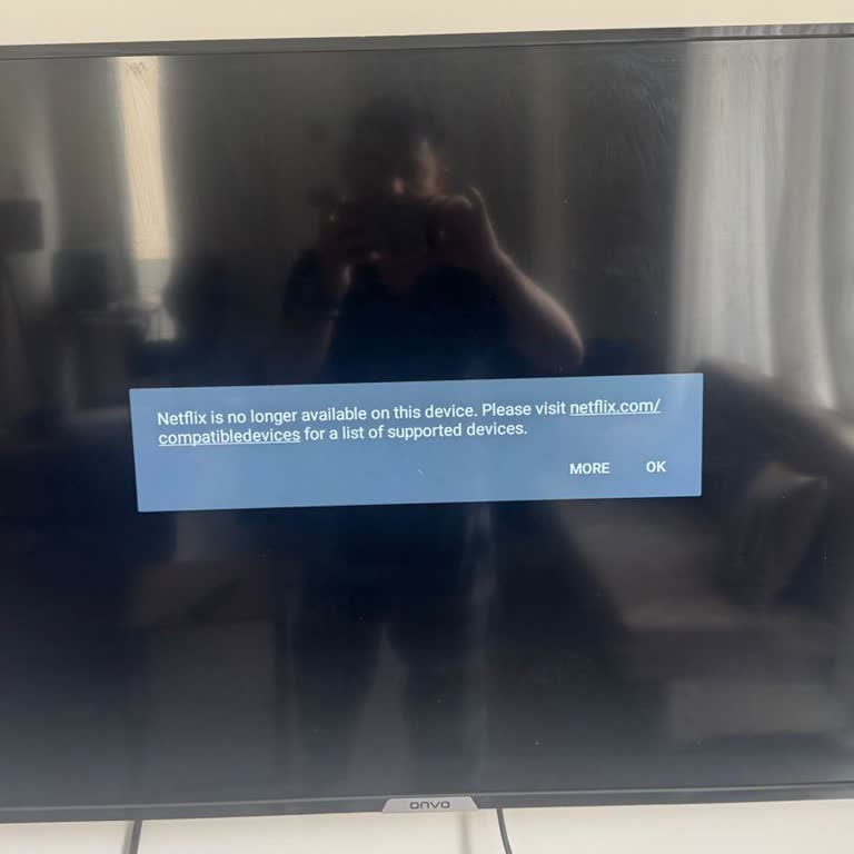 Onvo TV'de Netflix Artık Çalışmıyor, Desteklenmiyor Uyarısı Alıyorum