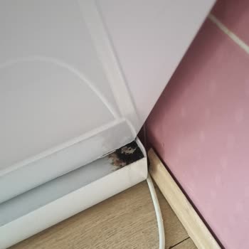 Samsung Bulaşık Makinesi Alt Sepeti Paslandı, Garanti Dışında Kaldı