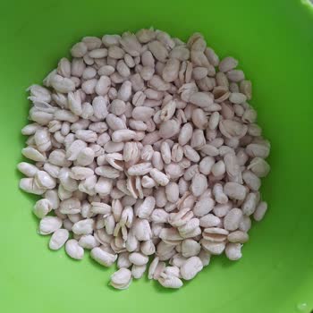 Yayla Dermason Fasulyede Beklenmeyen Dağılma Sorunu