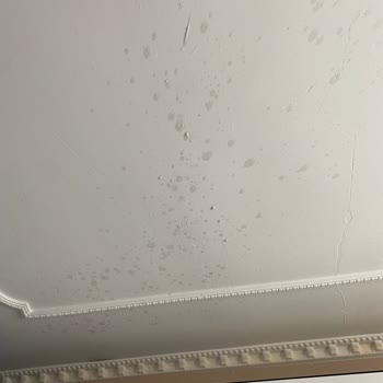 Altınkılıç Kefir Patlaması Sonucu Güvenlik Endişesi Ve Zarar