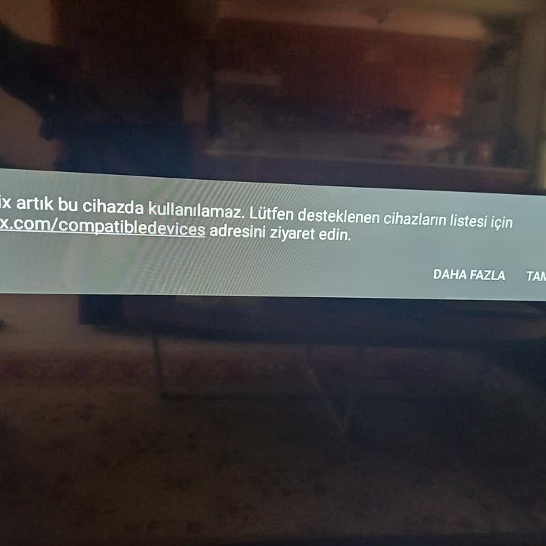 Reeder 43'' Televizyonumda Netflix Uygulaması Sorunu ve Çözüm Beklentisi