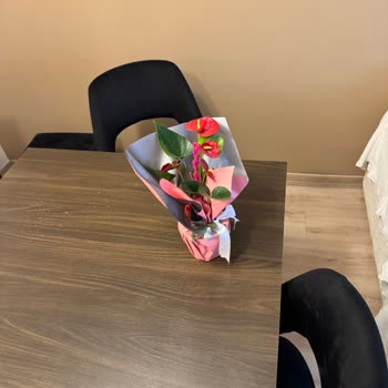 Siparişim Görselden Küçük Ve Açmamış Çiçeklerle Geldi Müşteri Hizmetleri Yardımcı Olmadı