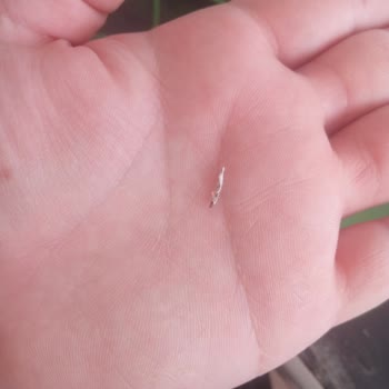 Türkiye Fırıncılar Federasyonu Ekmek Fırınları Şikayeti