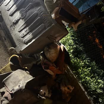 Ümraniye Belediyesi Çöp Konteynerinin Kaldırılması Lazım