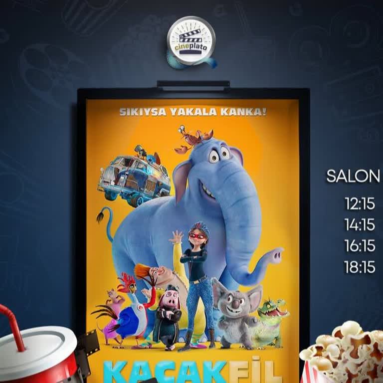 Seansın Erken İptali Nedeniyle Mağduriyet Yaşadım