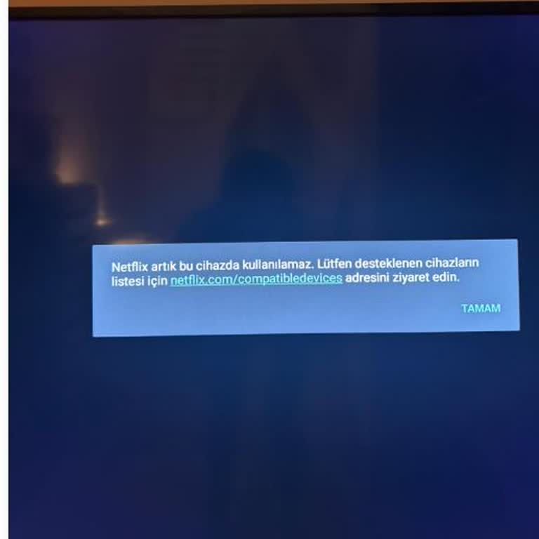 Netflix Desteği Kalmayan Televizyonum İçin Acil Çözüm Talebi